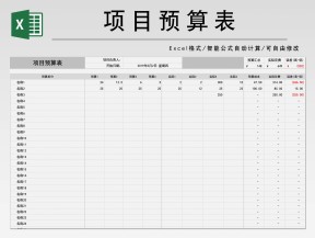 项目预算表