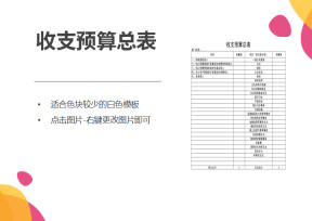 收支预算总明细表