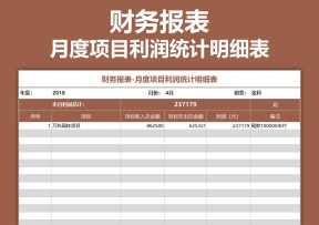 财务报表-月度项目利润统计明细表