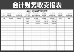会计财务收支报表
