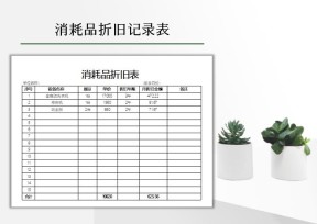 消耗品月折旧表
