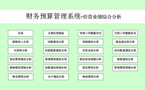 财务预算管理系统（经营业绩分析