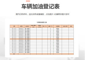 车辆明细登记表
