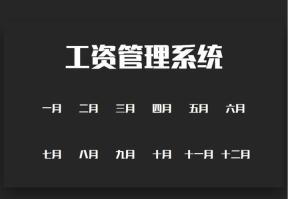 工资系统-薪酬财务管理