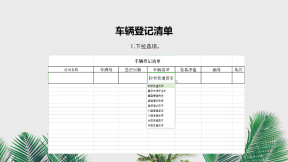 车辆登记清单