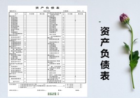 资产负债表财务报表