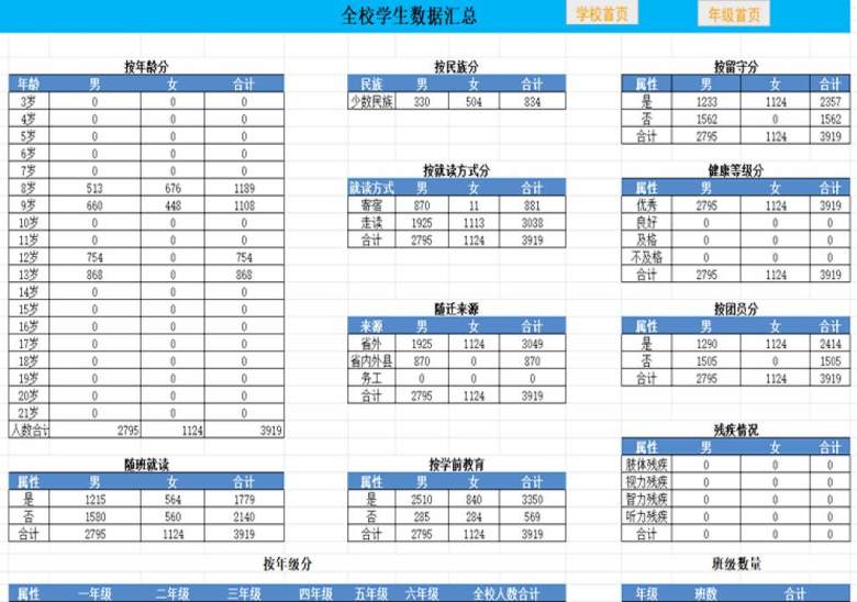 教育统计台账（小学版正式版）