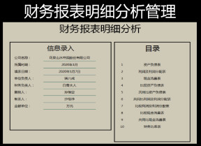 财务报表明细分析管理