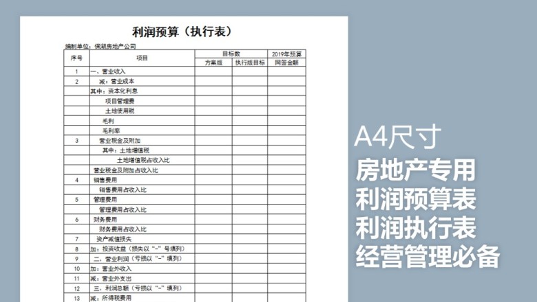 利润预算执行表（房地产专用）