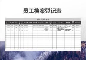 人力资源-员工档案登记表
