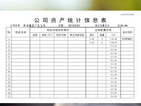 公司资产统计报表