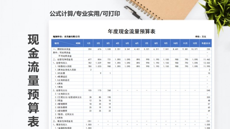 年度现金流量预算表