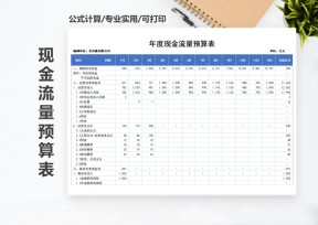 年度现金流量预算表
