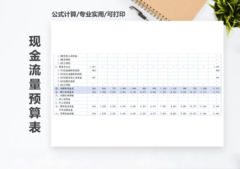 年度现金流量预算表