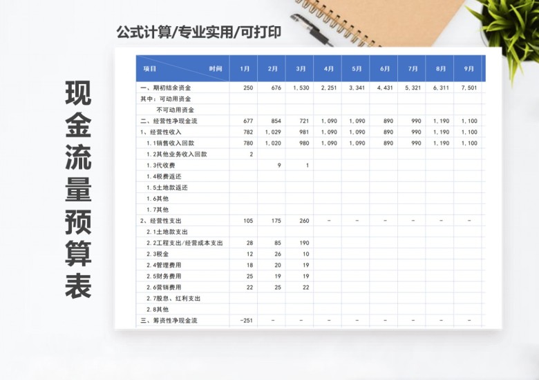 年度现金流量预算表