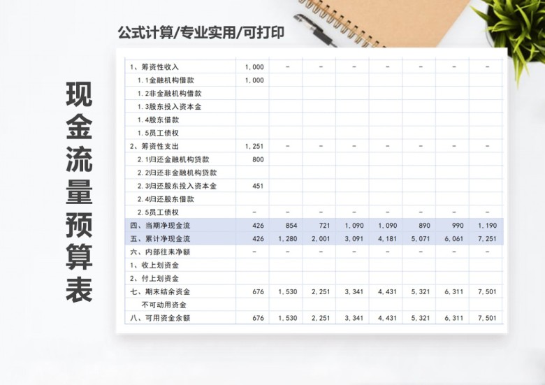 年度现金流量预算表