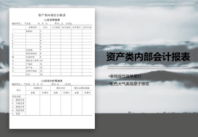 资产类内部会计报表
