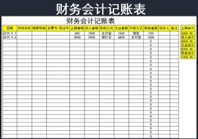 财务会计记账表