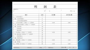 利润表财务报表实用资料