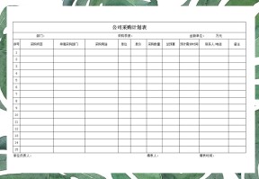 公司财务采购计划表