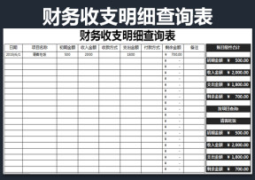 财务收支明细查询表