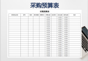 采购预算报价表