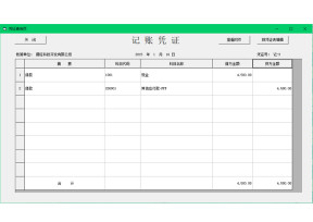 录入凭证自动生成明细账报表
