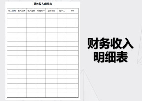 财务收入明细表