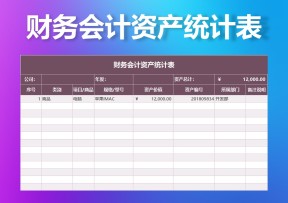 财务会计资产统计表