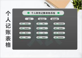 个人财务记账表格系统