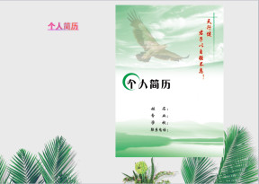 个人简历