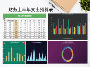 财务上半年支出预算表