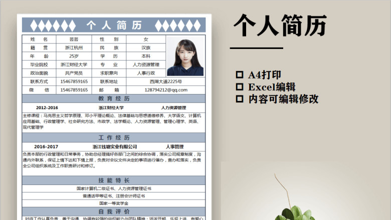 个人简历（简约）