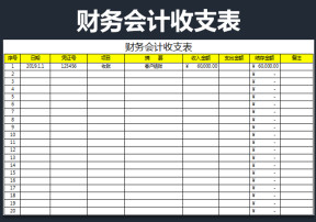 财务会计收支表