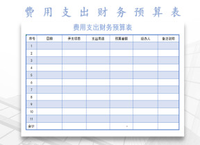 费用支出项目预算表