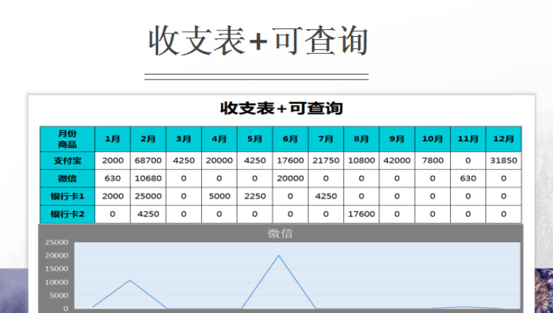 收支表+可查询
