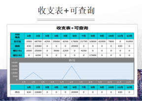 收支表+可查询