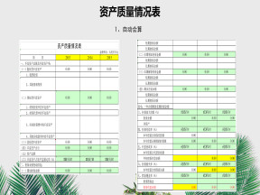 资产质量情况表