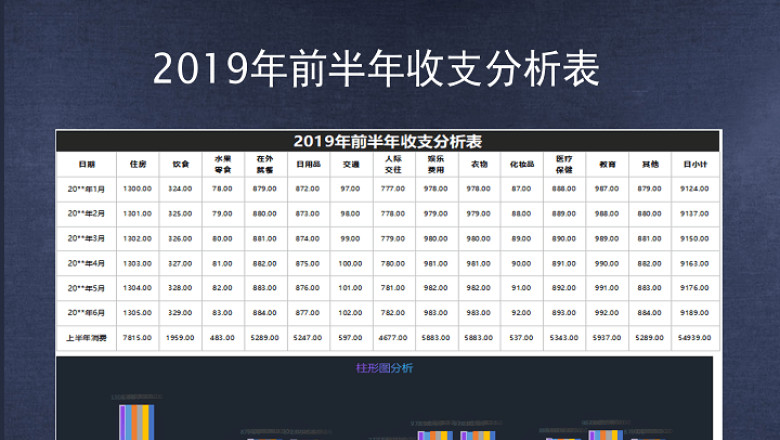 2019年前半年收支分析表