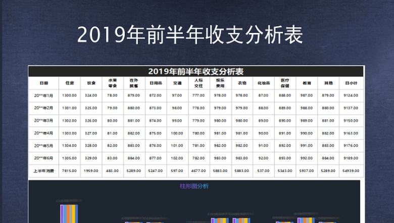 2019年前半年收支分析表