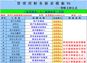 管理用财务报表模板