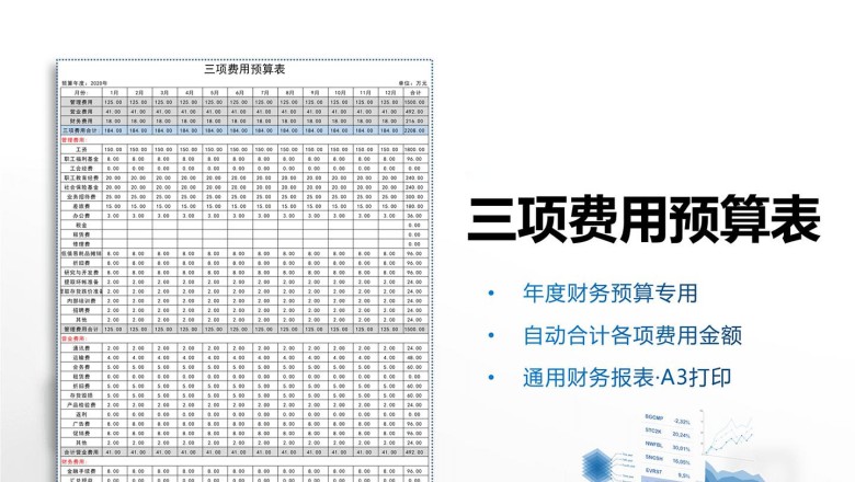三项费用预算表