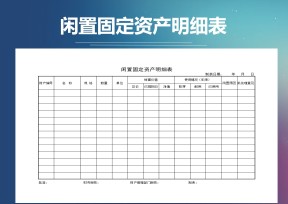 闲置固定资产明细表