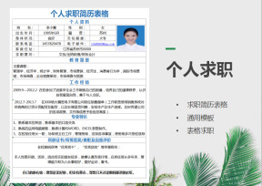 个人求职简历表格