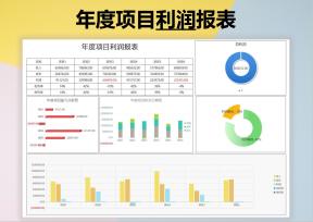 （多图表）年度项目利润报表
