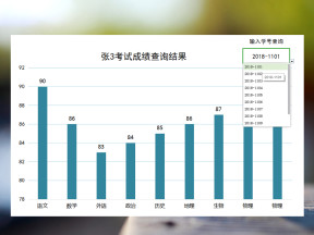 中小学学生考试成绩单(自动排名+图表)