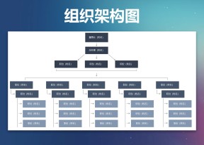 组织架构图公司架构