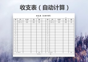 收支表（财务会计）