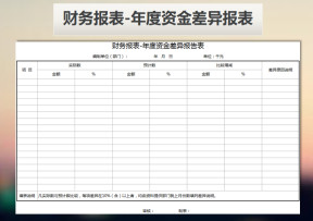 财务报表-年度资金差异报告表