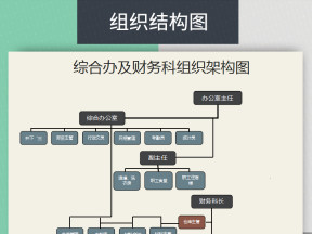 综合办及财务科办公室组织架构图